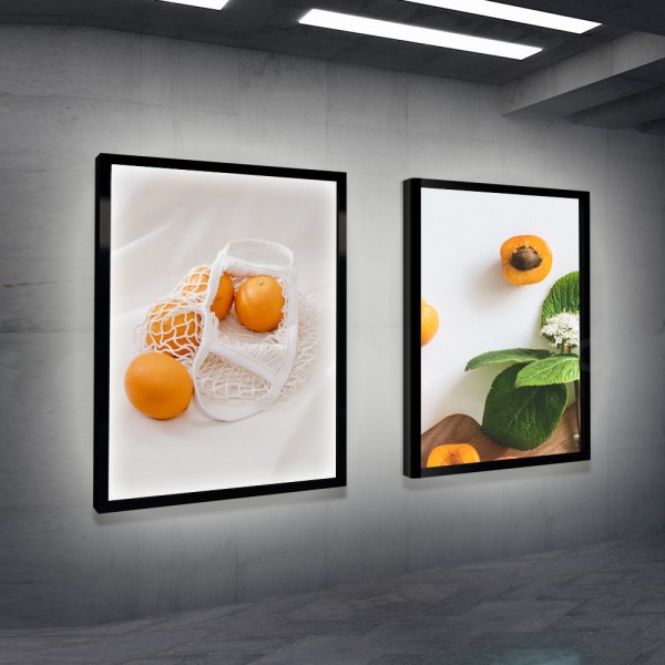 Gzvisuals Magnetic LED Poster Light Box (MLED25)